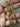 Antique French 18k gold braid link slide chain