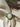 Antique French 18k gold opal & emerald ring