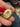 Antique French 18k gold, enamel, diamonds, garnet locket with a bird