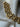 Vintage 18k gold mariner link chain