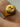 Antique English 22k gold signet ring with a walking dog